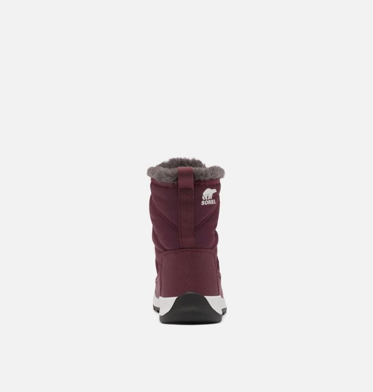 Sorel Youth Whitney™ II Short Lace - Kids Snow Boots Purple - 291658JRD